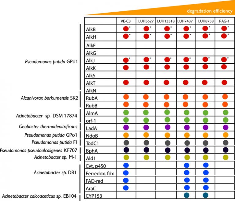 jksf06 alkane degradation 1 768x655